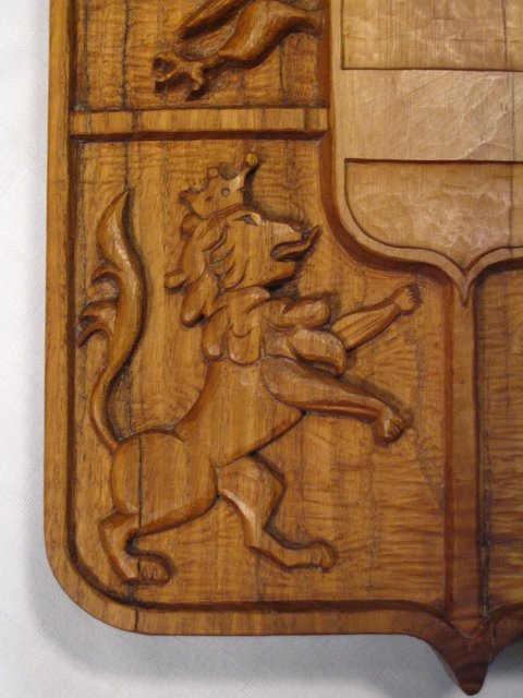 Lion Detail